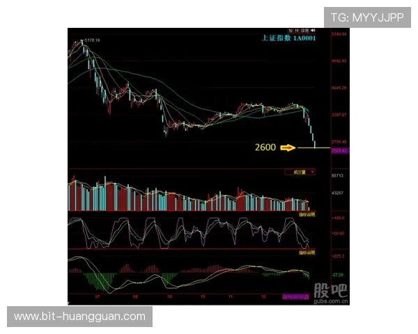 欧洲皇冠展览与拍卖会最新动态，掌握第一手资讯把握收藏与投资良机