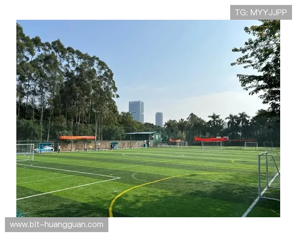 探索新皇冠官网体育丰富的赛事分类覆盖足球篮球等多项主流体育项目